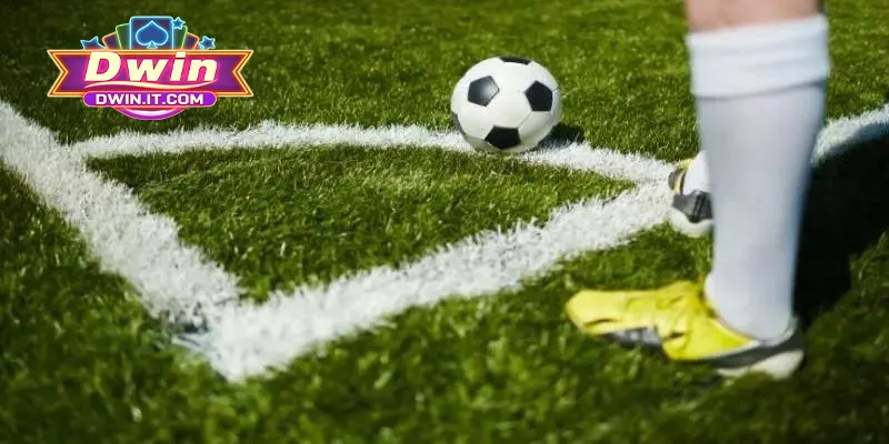 Khái quát một vài thông tin về kèo góc nhà cái DWIN