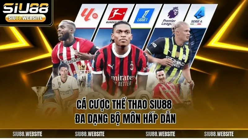 Cá cược thể thao SIU88 đa dạng bộ môn hấp dẫn